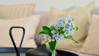 Apartment B7 "Wellness, Fitness & Spieleraum" im Pine Hill Resort - Foto 4