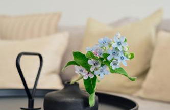 Apartment A13 "Balkon, 2 Schlafzimmer & 2 Bäder inklusive Nutzung der Wellness- und Aktivbereiche" im "Pine Hill Resort" - Foto 10