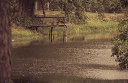 Masuria Warsaw - dom na wyłączność - w lesie i przy rzece - 15 min od Warszawy - Foto 64