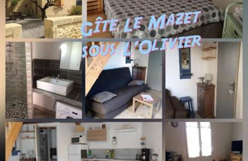 Les Gîtes sous l' Olivier en Camargue - Photo 71