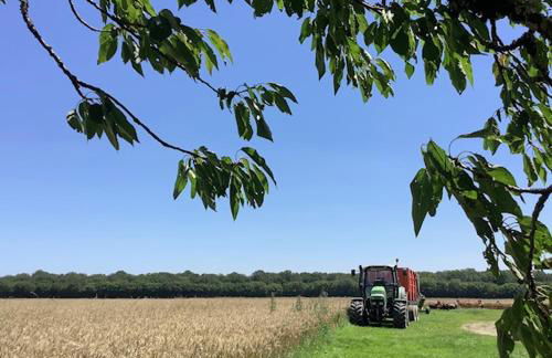 Gîte entre Loire et Campagne - Photo 24