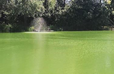 La Perle de l'Étang - Déconnexion totale - Foto 34