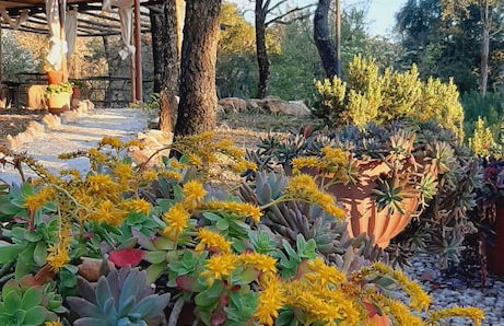 Serraiola Alta - Foto 80