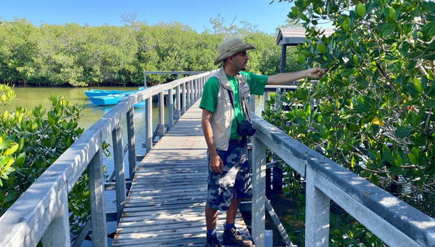 Learn about the local biodiversity