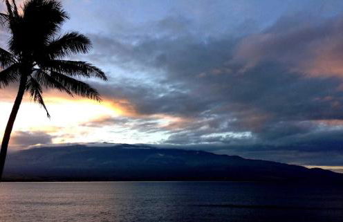 Island Sands 206 - Foto 26