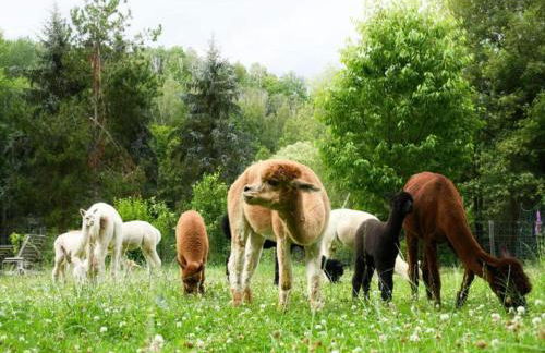 Family Escape in Lichtenau - Foto 38