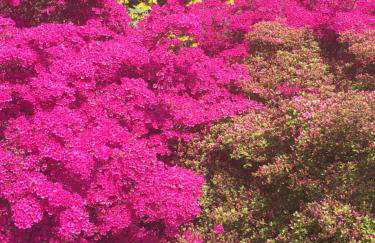 Ostseeruhe - Foto 26