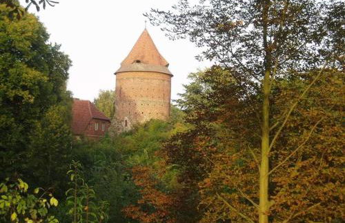 Seeperle Comfortable holiday residence - Foto 20