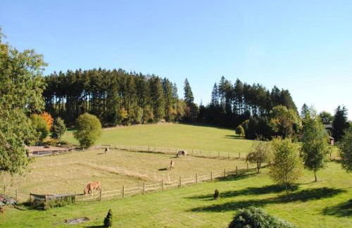 Deluxe Holiday Home in Brilon-wald Near Ski Area - Foto 97