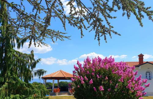 Holiday Apartment VILLA BIANCA - Photo 4