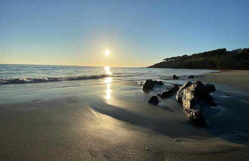 Villa de Rospico Les villas de Nevez - Photo 41