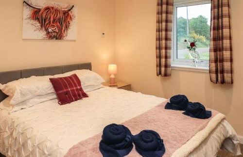 Pine Marten - Foto 18