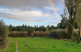 Mas Sansonnets - Foto 18