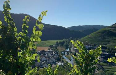 Ferienappartement WildeAhr - Urlaub beim Winzer! - Foto 7