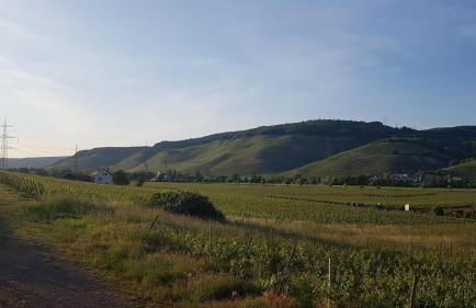 Ferienwohnung "Auf Plandert" - Foto 13