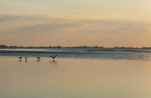 Ferienwohnung Lena - Foto 22