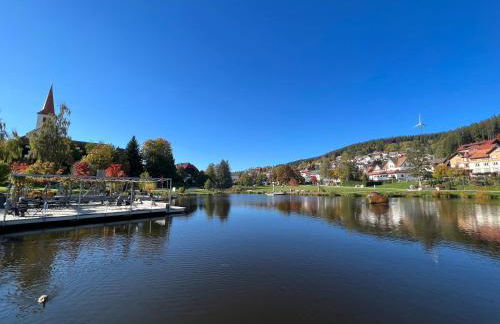 Apartment Schwarzwald-Anni Pool Tennis Sauna - Foto 22