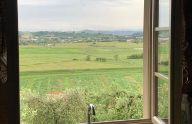 Locazione turistica Casa olivo - Foto 45