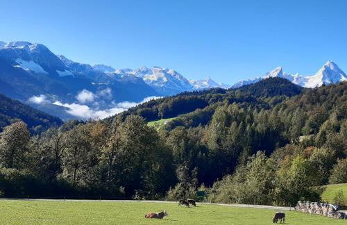 Bauernhof Vorderstiedler - Foto 7