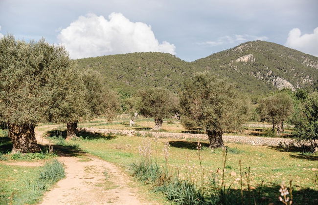 Finca Es Cabas - Photo 55