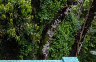 Casa Waimea - Foto 5