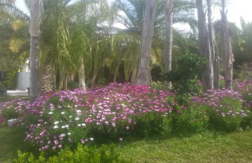 Villa Amadeus Xabia - Foto 16