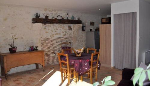 Charmante maison près des châteaux de la Loire avec jardin fermé et animaux bienvenus - FR-1-590-65 - Photo 5