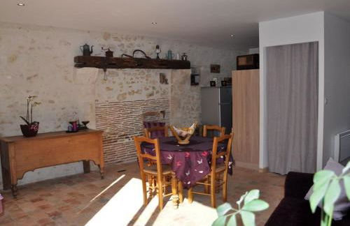 Charmante maison près des châteaux de la Loire avec jardin fermé et animaux bienvenus - FR-1-590-65 - Photo 5