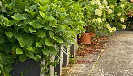 La Casa di Zia Rita - Foto 2