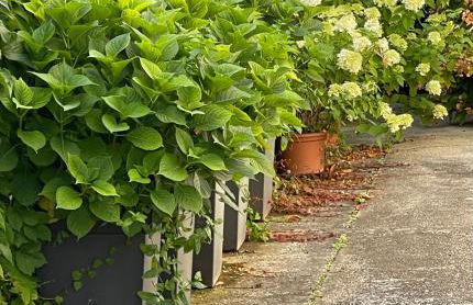 La Casa di Zia Rita - Foto 2