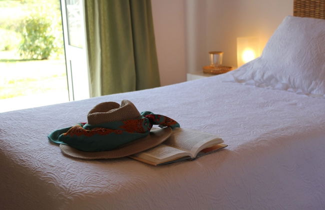 Quinta dos Anjos - Foto 14