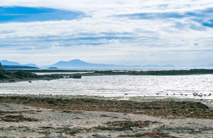 Seaview Cottage - Foto 53