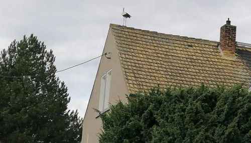 Villa Affenhaus - Foto 2