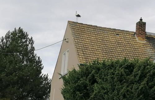 Villa Affenhaus - Foto 2