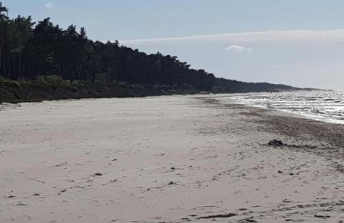 Zagroda ciszy - Foto 18