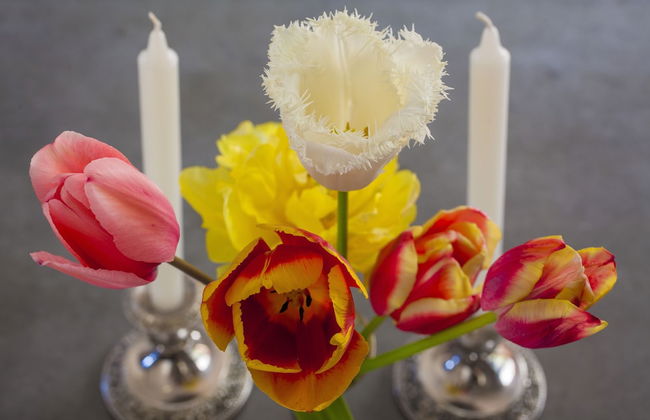 The Factory - Foto 23