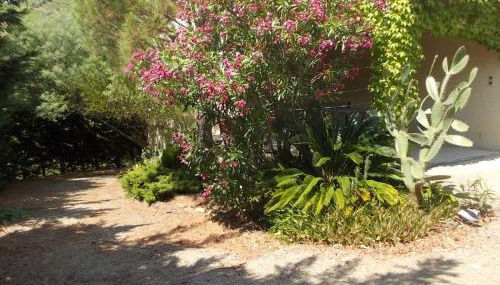 Magnifique villa piscine billard Great villa swimming pool - Foto 4, Garden