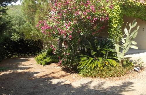 Magnifique villa piscine billard Great villa swimming pool - Foto 4