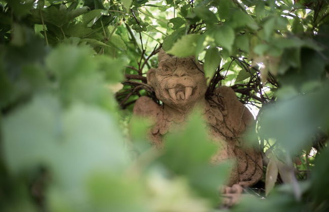 The Dovecote Barns - Foto 22