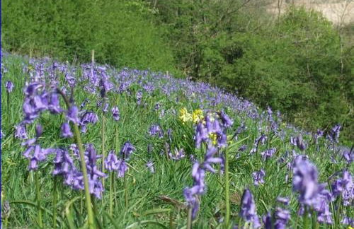 18th-Century three-bedroom Mill Worker's Cottage - Foto 19