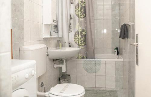 Sunny & Spacious, 2 BR apartment with free parking - Photo 9