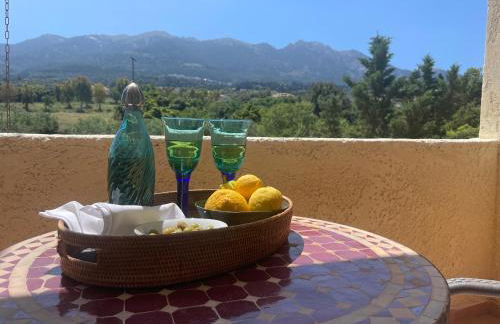 Carpe Diem - Photo 24