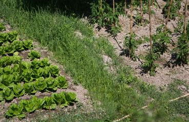 I Tre Tigli - Casa di campagna - Foto 35