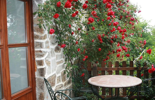 Agroturismo Amalau - Photo 11