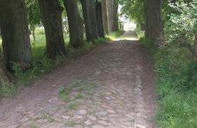 Dom na Mazurach Pilec- Apartament - Foto 9