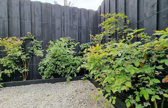 Timeless Heritage Grey Lynn 2BR Beauty - Foto 23