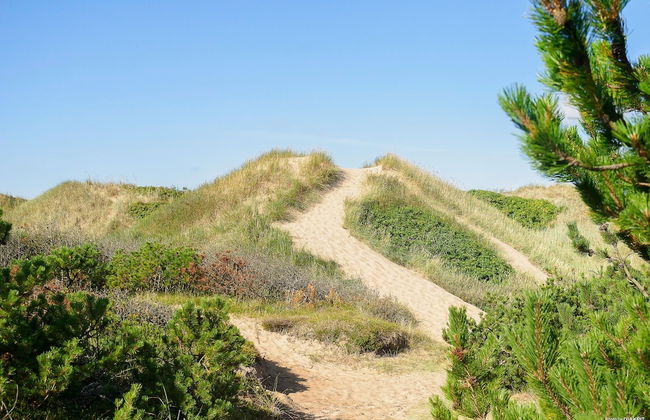 First Camp Tylösand - Foto 28