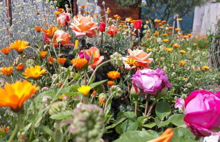 Charmant Horizon - Foto 25