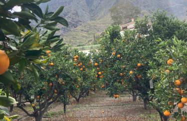 Casa Camino Tamadaba II (bottom home) - Foto 40