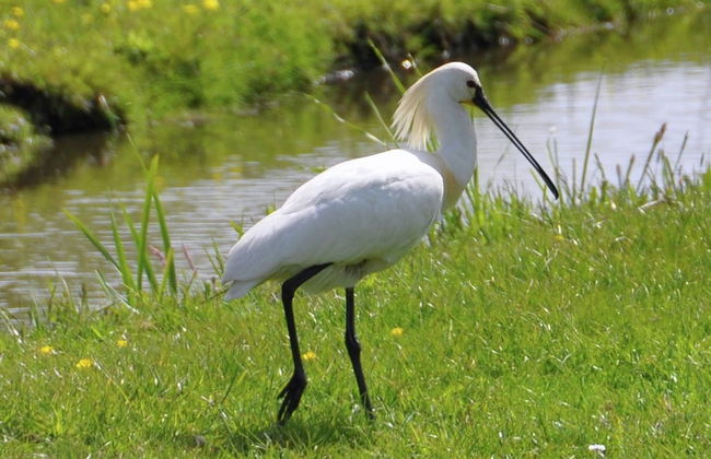 Apartment in Uitgeest by the Waterpark - Foto 20